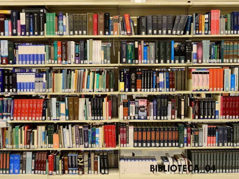 Fundo fotográfico Biblioteca - 04