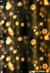 Fundo fotográfico Boken - 02