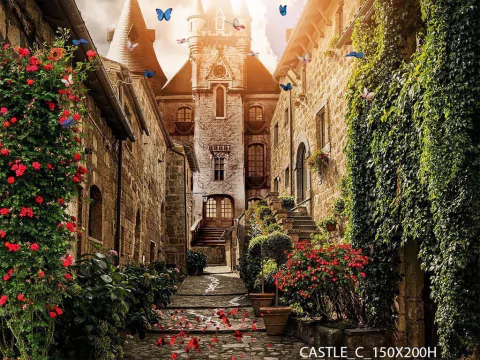 Fundo fotográfico Castle - C