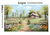Fundo Fotográfico Fazenda aquarelada-202401