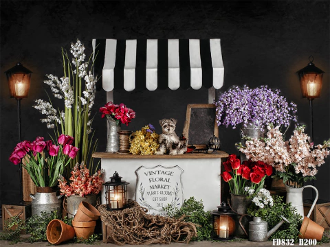 Fundo fotográfico FD - 832