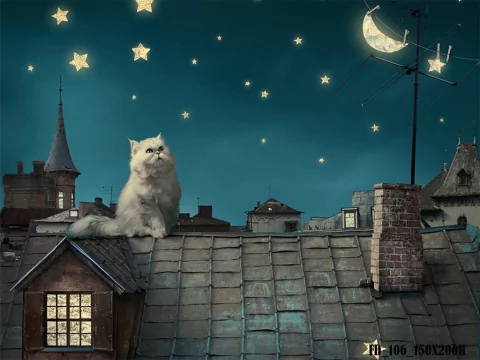 Fundo fotográfico FD - 106