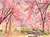 Fundo fotográfico FD 2- 04