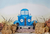 Fundo fotográfico FD - 302 - comprar online