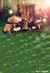 Fundo fotográfico FD - 314