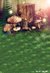 Fundo fotográfico FD - 314 - comprar online