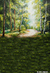 Fundo fotográfico FD - 347 - comprar online
