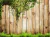Fundo fotográfico FD - 375 - comprar online