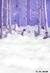 Fundo fotográfico FD - 431 - comprar online