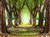 Fundo fotográfico FLORESTA FD - 451