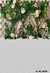 Fundo fotográfico FD - 490 - Cirandinha Fundos Fotográficos e decoração de Festas 