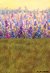 Fundo fotográfico FD - 501