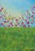 Fundo fotográfico FD - 507 - comprar online