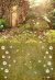 Fundo fotográfico FD - 537