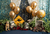 Fundo fotográfico FD - 776 - comprar online