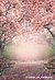 Fundo fotográfico FLORAL - 09