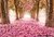 Fundo fotográfico FLORAL - 1516