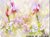 Fundo fotográfico FLORAL - 22