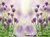 Fundo fotográfico FLORAL - 28