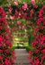 Fundo fotográfico FLORAL - 45