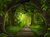 Fundo fotográfico FLORESTA - 010