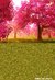 Fundo fotográfico FLORESTA - 013