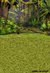 Fundo fotográfico Floresta - 03