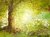 Fundo fotográfico FLORESTA - 05B - comprar online