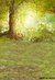 Fundo fotográfico FLORESTA - 05B