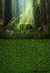 Fundo fotográfico FLORESTA - 07B