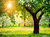 Fundo fotográfico Floresta - 15 - comprar online
