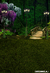 Imagem do Fundo fotográfico Floresta Bosque - 0102