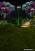 Fundo fotográfico Floresta Bosque - 0102 - Cirandinha Fundos Fotográficos e decoração de Festas 