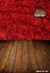Fundo fotográfico FLOWER RED LOVE