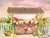 Fundo fotográfico Fruta tropical - 01 - comprar online