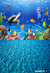Fundo fotográfico FUNDO MAR TOP