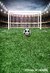 Fundo fotográfico FUTEBOL - 02B