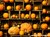 Fundo fotográfico HALLOWEEN - 04