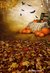 Fundo fotográfico HALLOWEEN - 15