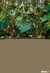 Fundo fotográfico Safari Jungle - 0102 - comprar online