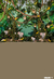 Fundo fotográfico Safari Jungle - 0102 na internet