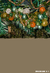 Fundo fotográfico Safari Jungle Ballons - comprar online