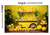 Fundo Fotográfico Limonada-2408