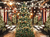 Fundo fotográfico NATAL - 202211