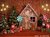 Fundo fotográfico NATAL - 14