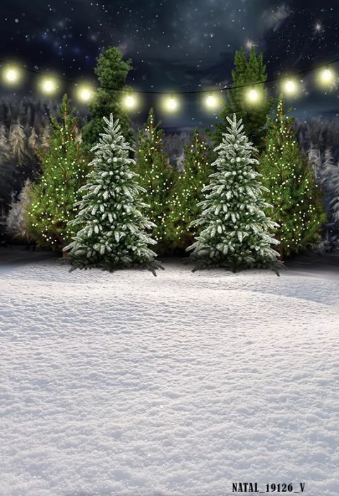 Fundo fotográfico Natal - 19126