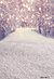 Fundo fotográfico Natal - 1914 - comprar online