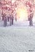 Fundo fotográfico Natal - 1915 - comprar online