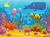 Fundo fotográfico OCEAN - 12