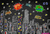 Fundo fotográfico PAI - 202012